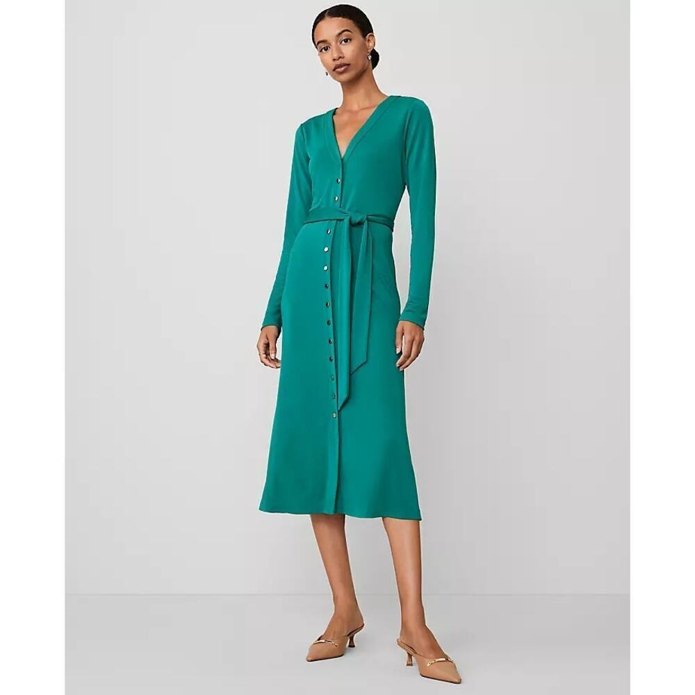 Ann Taylor Green Marais Button V-Neck Flare Knit Classic Midi Dress Size Large